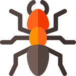 Jims termite and pest control